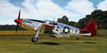 "Tuskegee Ace" - Sam Lyons - P-51 Mustang Ace Lee Archer World War II Art